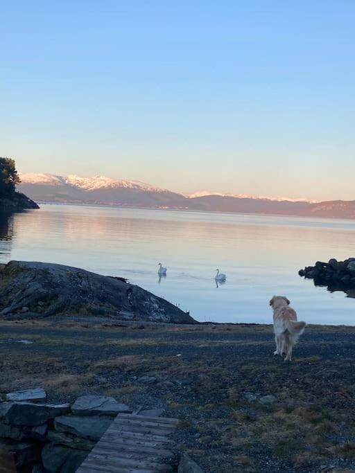 Moderne Rorbu Helt I Sjokanten Hauge (Hvaler)